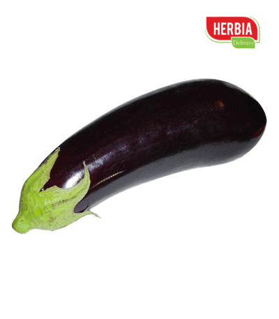 ბადრიჯანი