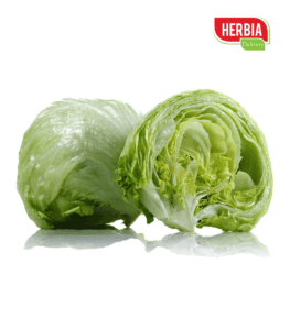 აისბერგი