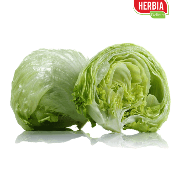 აისბერგი