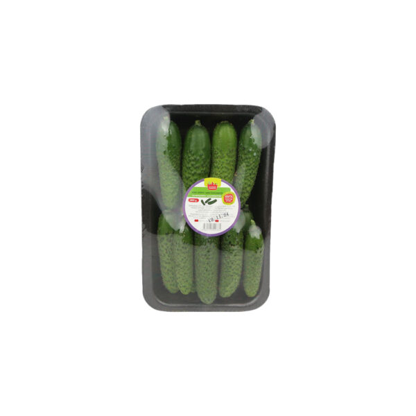 მინი კიტრი