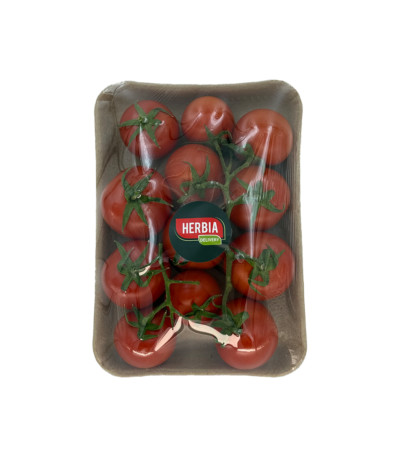 ტოტიანი პომიდორი