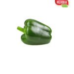 მწვანე ბულგარული 300 გრ.