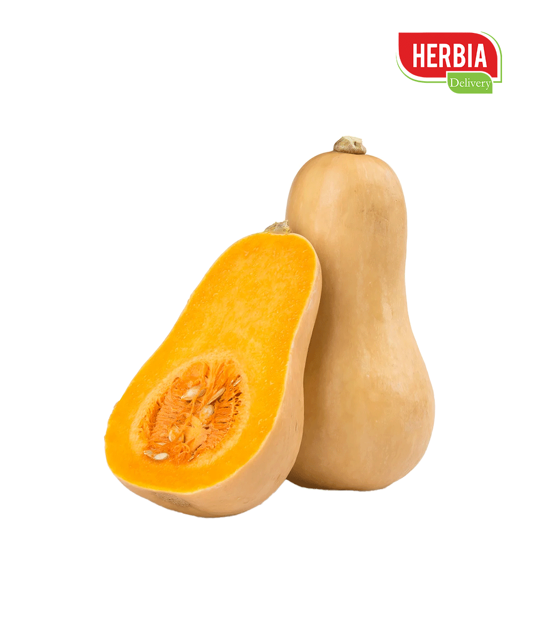 კვახი კვახი