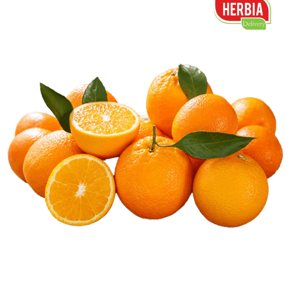 ფორთოხალი