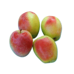 ვაშლი სინაფი 500გრ