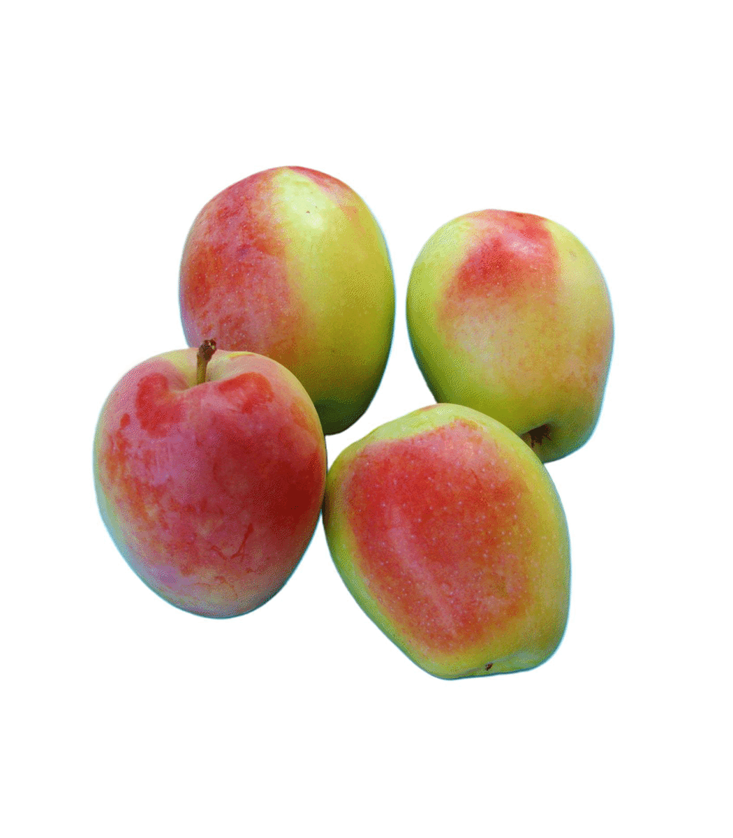 yu ვაშლი სინაფი 500გრ - Image 1