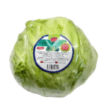 სალათი აისბერგი