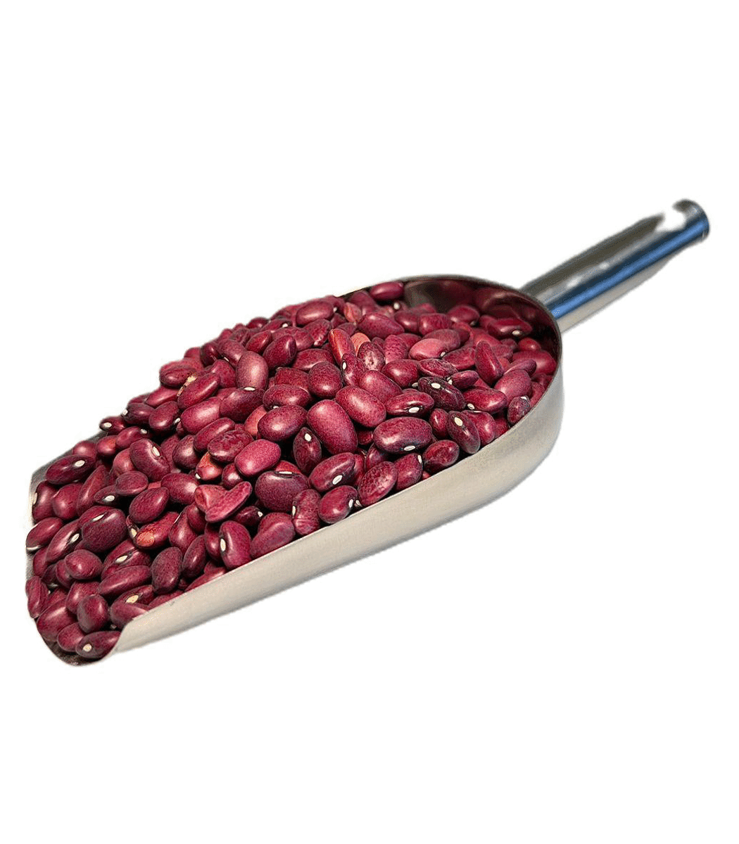 მინდვრის ლობიო ლობიო მინდვრის (გურულა) 500გრ - Image 1